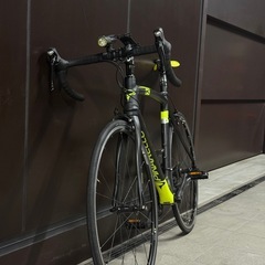 🉐PINARELLO RAZHA K 2017の画像
