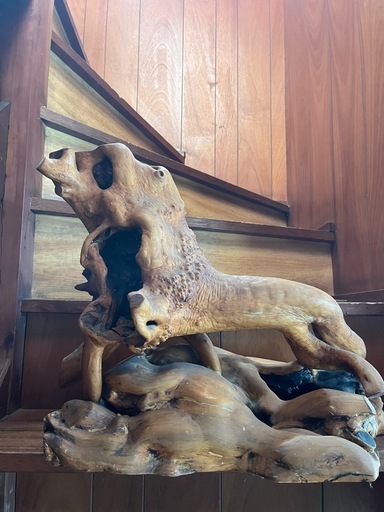 流木 ？ 天然木 木の根 オブジェ 木工 美術品 アクアリウム テラリウム　爬虫類　天然　根