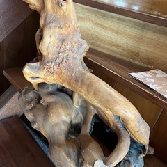流木 ？ 天然木 木の根 オブジェ 木工 美術品 アクアリウム テラリウム　爬虫類　天然　根　の画像
