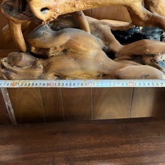 流木 ？ 天然木 木の根 オブジェ 木工 美術品 アクアリウム テラリウム　爬虫類　天然　根　の画像