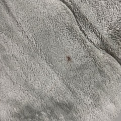 厚手ラグ　冬用　の画像