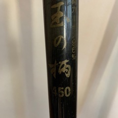 タモ網　磯釣りの画像