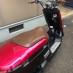 YAMAHA VOXの画像