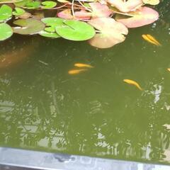 画像のもの全ての画像