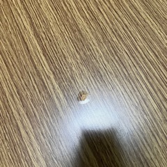 こたつ用丸型テーブルの画像