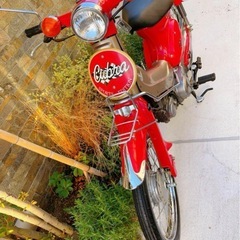 ⭕️ 極上・超希少旧車！ホンダ スーパカブ の画像