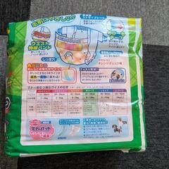 マナーおむつ　Мサイズの画像