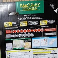 Panasonic  電球2本の画像