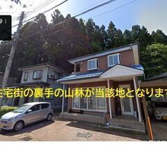 新潟県上越市の山林3筆　339㎡(約102坪）　住宅街の山林