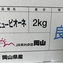 ピオーネ1箱2キロの画像