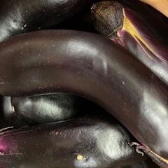 ナス茄子の画像