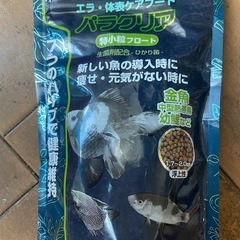水槽熱帯魚爬虫類の画像