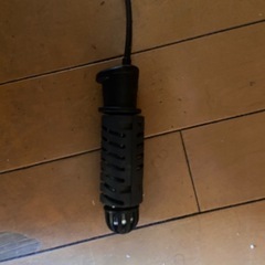 水槽熱帯魚爬虫類の画像