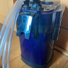 水槽熱帯魚爬虫類の画像