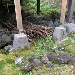無料 薪材　あげますの画像
