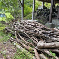 無料 薪材　あげますの画像
