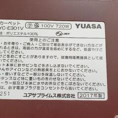ホットカーペットの画像
