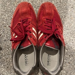 メンズジオックス靴サイズ42の画像