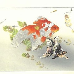 芸艸堂★琉金浴衣★土屋楽山の画像
