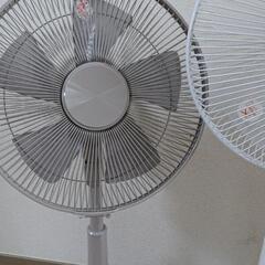 扇風機 × 2台の画像
