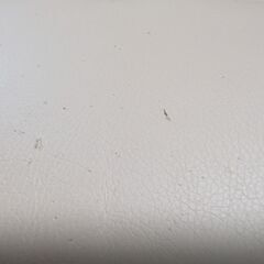 リクライニングチェアの画像