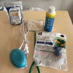 メダカ飼育セットの画像