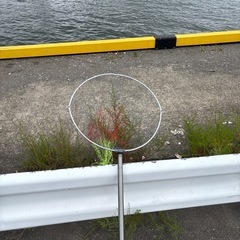 たもあみの画像