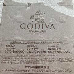発泡スチロールケース　GODIVA ゴディバ　冷凍　保冷バッグの画像