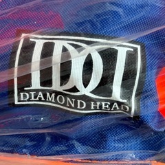 DIAMOND HEAD FLOAT VEST TYPE-2A の画像