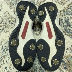 Riviera ゴルフシューズ ゴルフスパイク メンズ26cmの画像