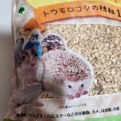 小動物　コーンフロアサンドの画像