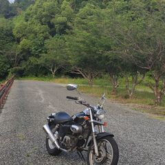 Magna50 の画像
