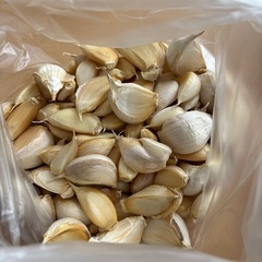 江南市産【にんにく】 バラ片  500g  (訳アリ) フードロスの画像