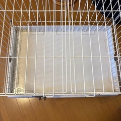 【取りに来て頂ける方専用】ペットケージの画像
