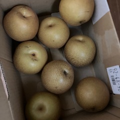 藤山町産　豊水なし※決まりましたの画像