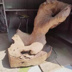置物　木の根の画像