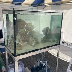 【単発】水槽を１つ運ぶだけですの画像