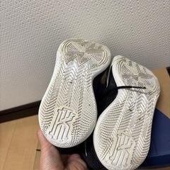 バッシュ24.5の画像