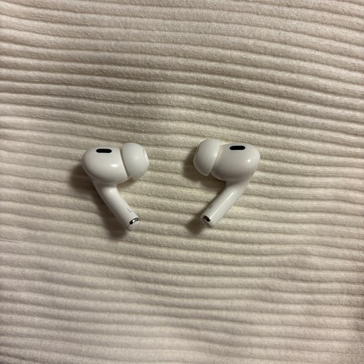 AirPods Pro 中身のみ
