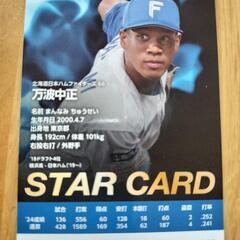 ファイターズ　プロ野球チップスカード　万波選手　STAR CARDの画像