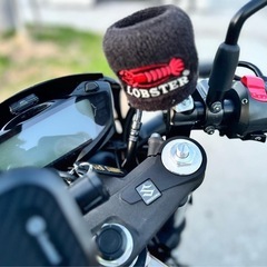 2021年式 スズキ SV650Xの画像