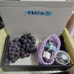 🍑🍇セット　⚠️説明文参照ください⚠️の画像