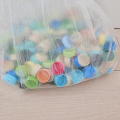 ペットボトルキャップ 大量の画像