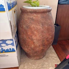 観葉植物、インテリア雑貨の画像