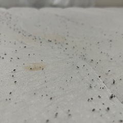 ダブルサイズマットレスの画像