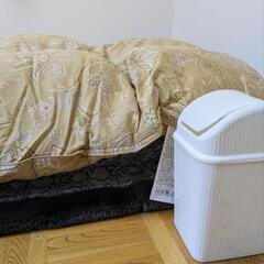 【西川】新品・未使用 GORE 羽毛掛け布団 ベージュの画像
