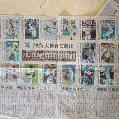 沖縄尚学優勝 沖縄タイムスの画像