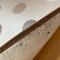 【無料！】ドット柄カーペットの画像