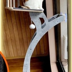 キャットタワーの画像