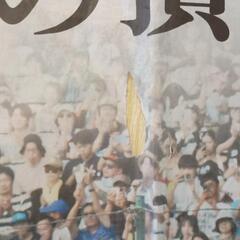 沖縄尚学優勝 沖縄タイムスの画像